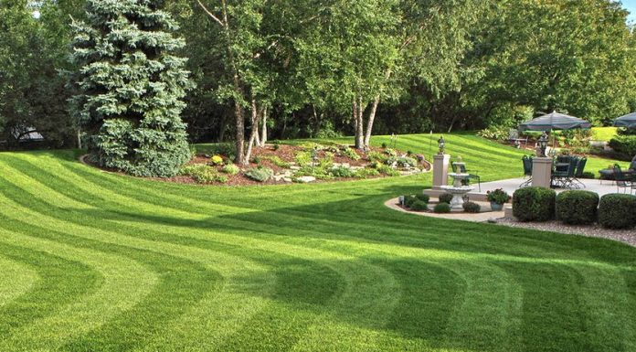 Большие газоны