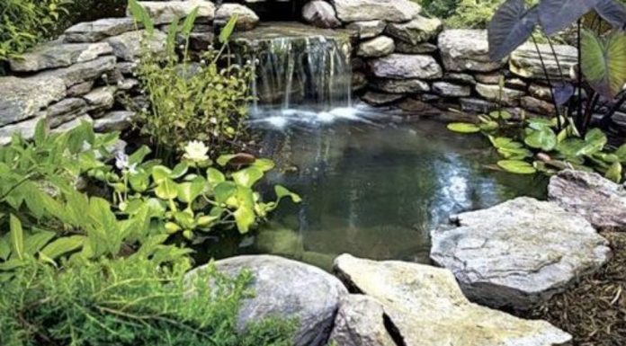 Мини-пруд на вашем участке