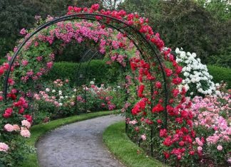 Садовые арки