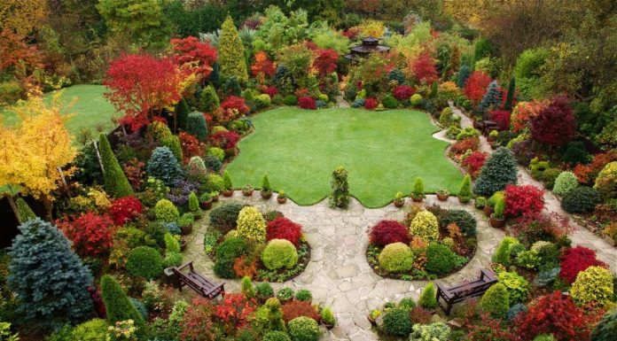 Садовые ландшафты: создание гармонии между природой и архитектурой Садовый ландшафт