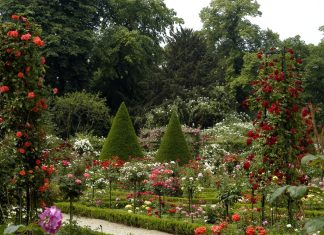 Сады во Франции